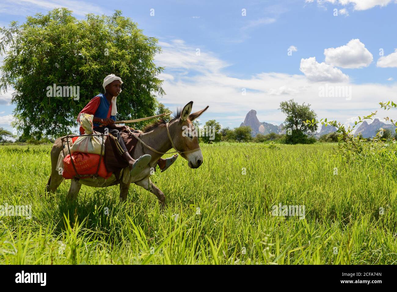 CIAD, Guéra, Bitkine, trasporto rurale con asino / TSCHAD , Guéra, Bitkine, Dorf Tchelmé, Transport mit Esel Foto Stock