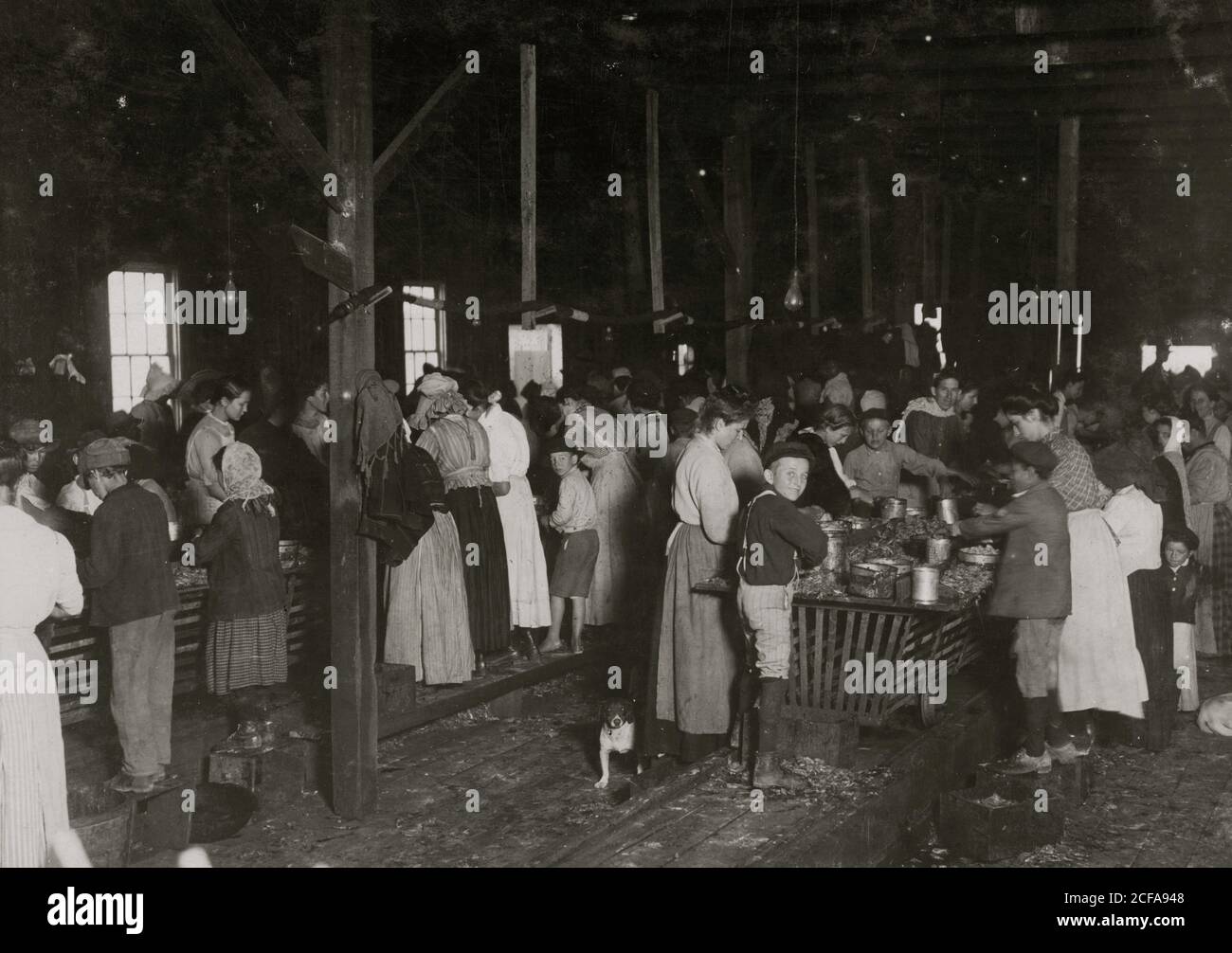 Tenendo il tuo posto prima dell'alba in gamberetti & Oyster canning company Foto Stock