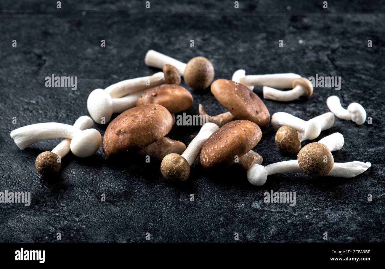 Alto angolo di piccola pila di funghi interi di Champignon grezzi con cappelli  bianchi e marroni su tavolo in marmo nero Foto stock - Alamy