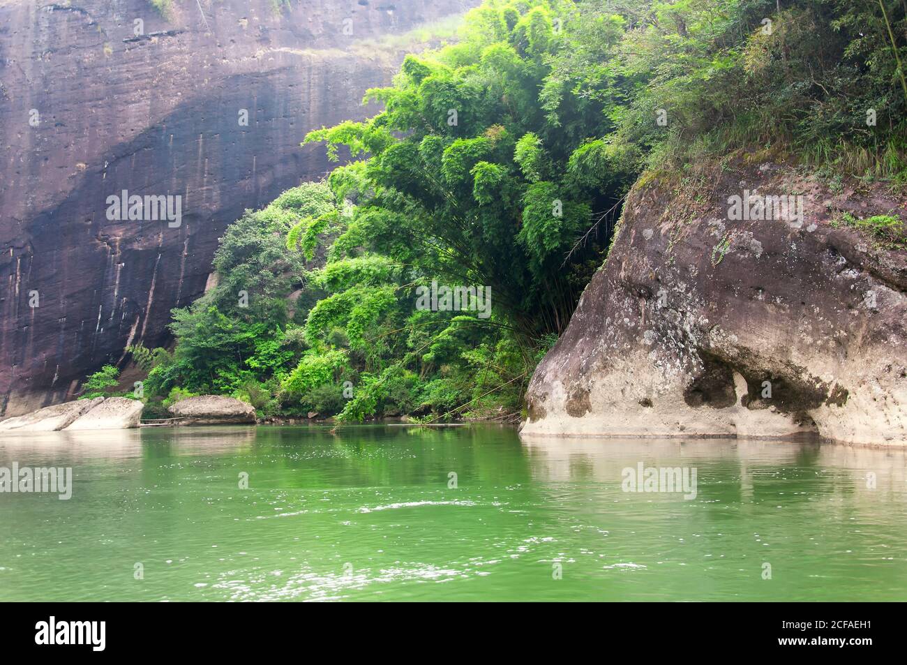 Un boschetto di alberi di bambù e insolite formazioni rocciose sul fiume a nove curve in cina wuyishan nella provincia fujiana. Foto Stock