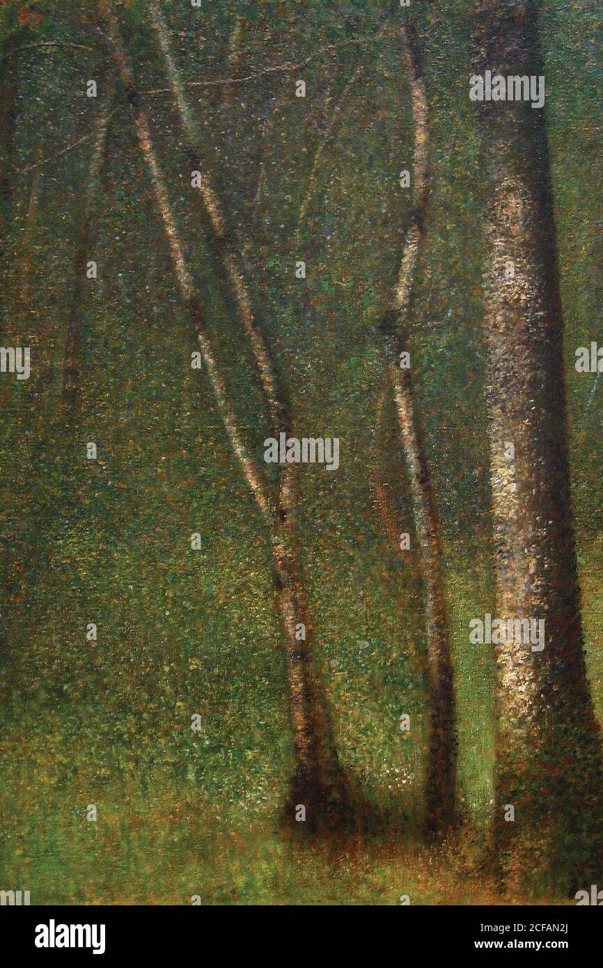 Foresta a Pont Aubert Foto Stock