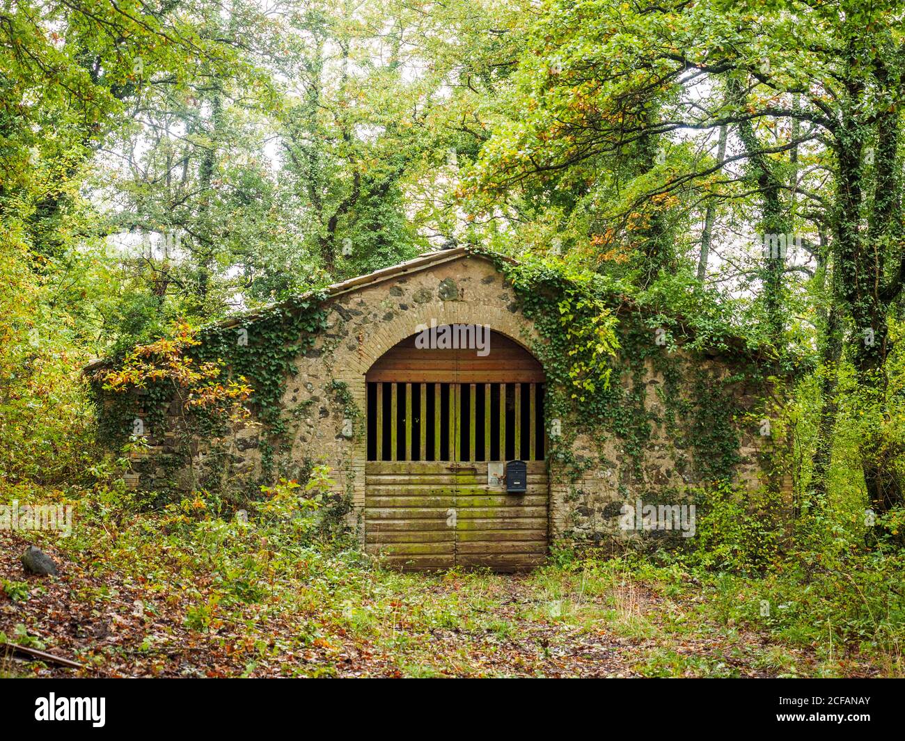 Capanna in pietra in un bosco - Umbria, Italia Foto Stock