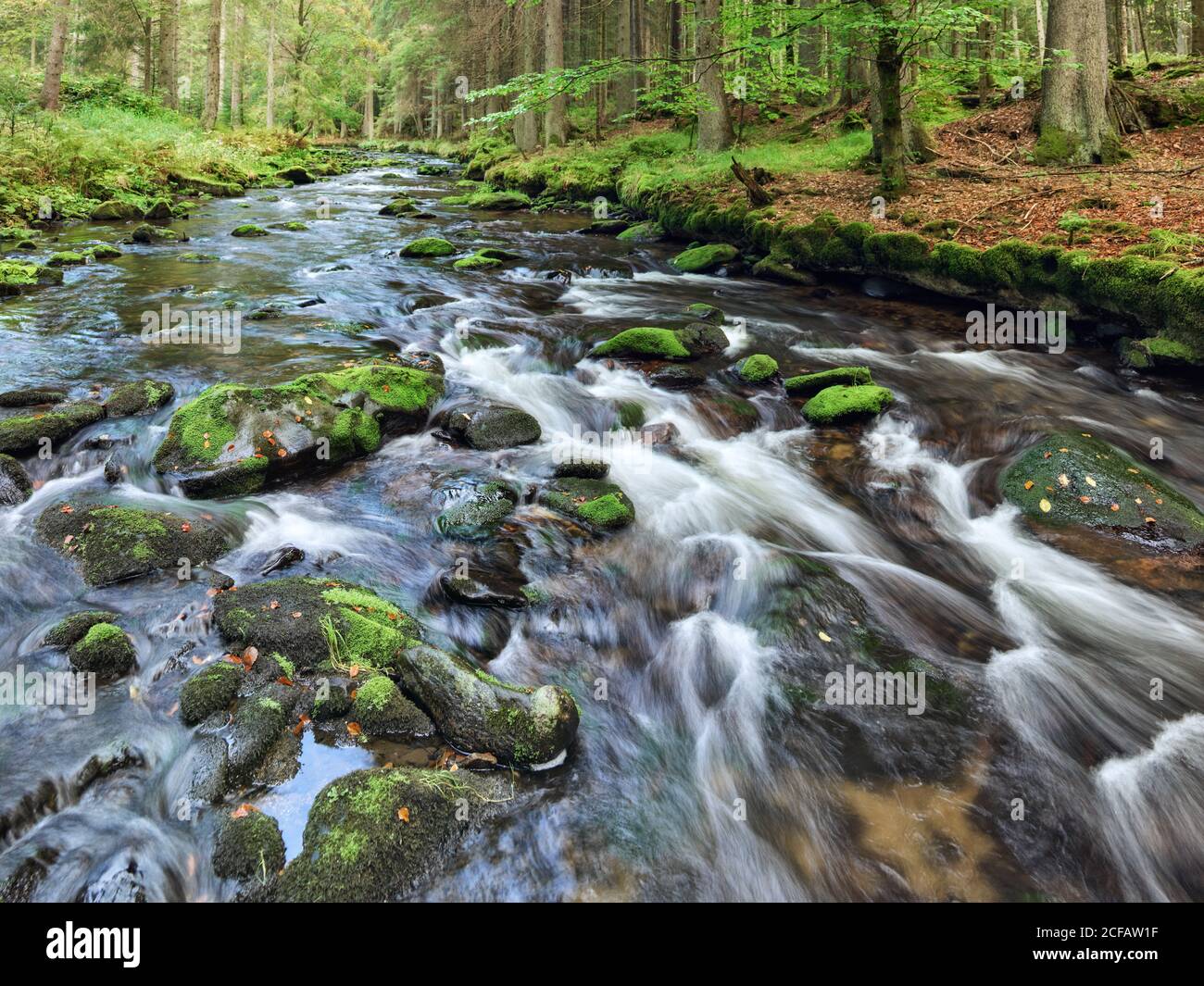 Bayerisch Eisenstein, Landkreis Regen, bassa Baviera, libero Stato di Baviera, Germania, Foresta Bavarese Foto Stock