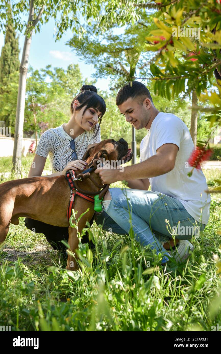Accoppia con il loro cane Boxer seduto in un parco su una giornata di sole Foto Stock