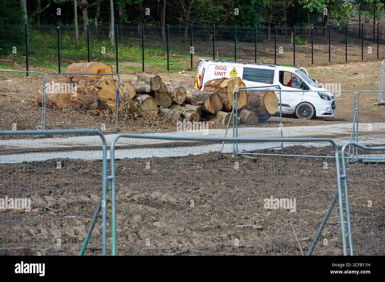 Denham, Buckinghamshire, Regno Unito. 4 Settembre 2020. Un furgone dell'unità del cane parcheggia vicino a che cosa è lasciato di un albero grande. I lavori di costruzione proseguono sul controverso collegamento ferroviario ad alta velocità HS2 da Londra a Birmingham al largo dell'A412 North Orbital. Enormi andane della campagna sono state acquistate da HS2 Ltd sotto ordini di acquisto obbligatori. La controversa linea ferroviaria mette a rischio di distruzione 693 siti faunistici locali e 108 antichi boschi lungo il percorso della nuova ferrovia. L'abbattimento degli alberi è già iniziato a Denham. Credit: Maureen McLean/Alamy Live News Foto Stock