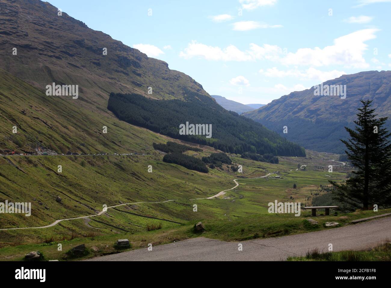 Argyll Forest Park, Scozia Foto Stock