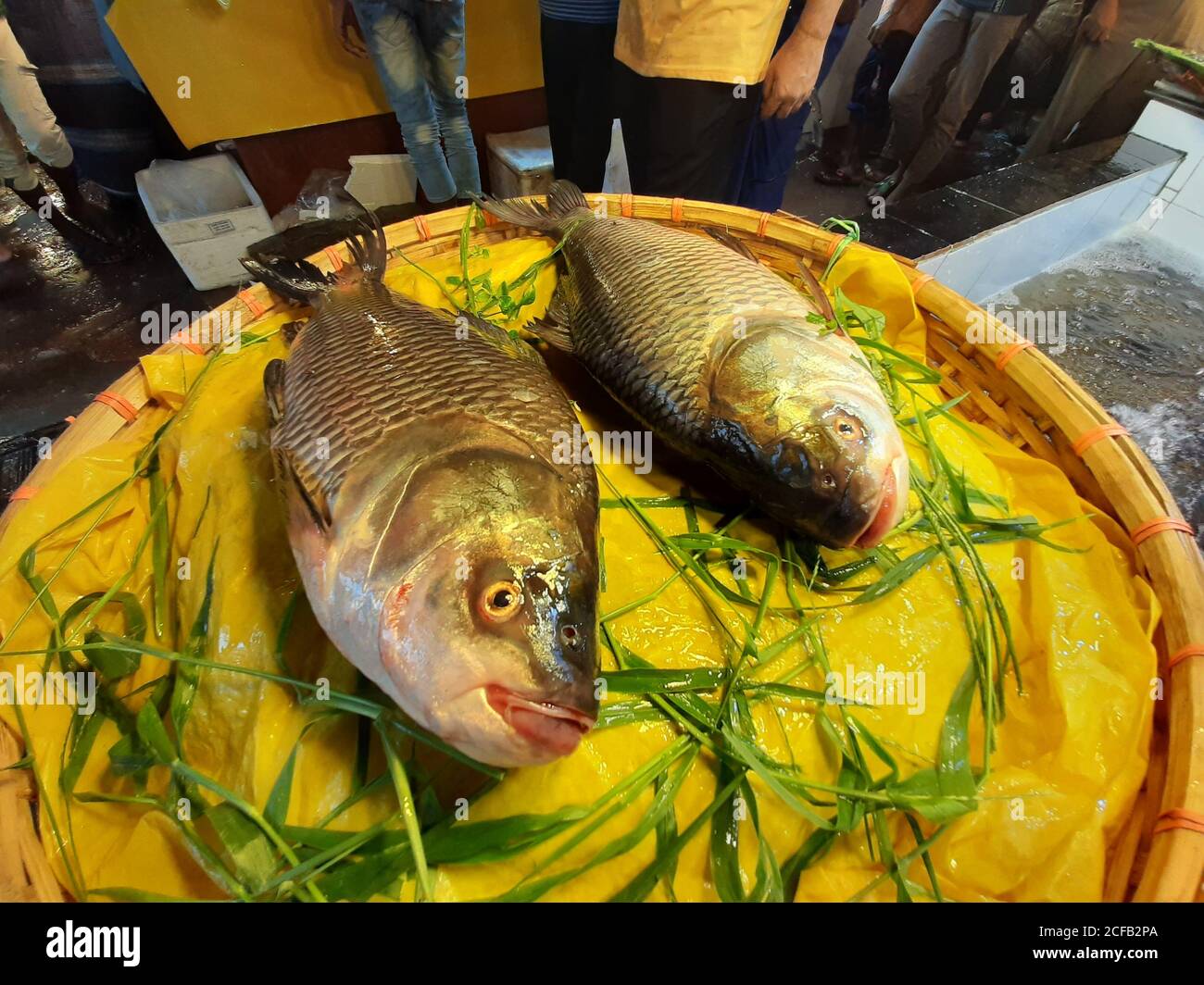 Il pesce è la principale fonte di proteine animali per il popolo del  Bangladesh. I venditori di pesce stanno vendendo il pescato dall'acqua  fresca e salmastra Foto stock - Alamy