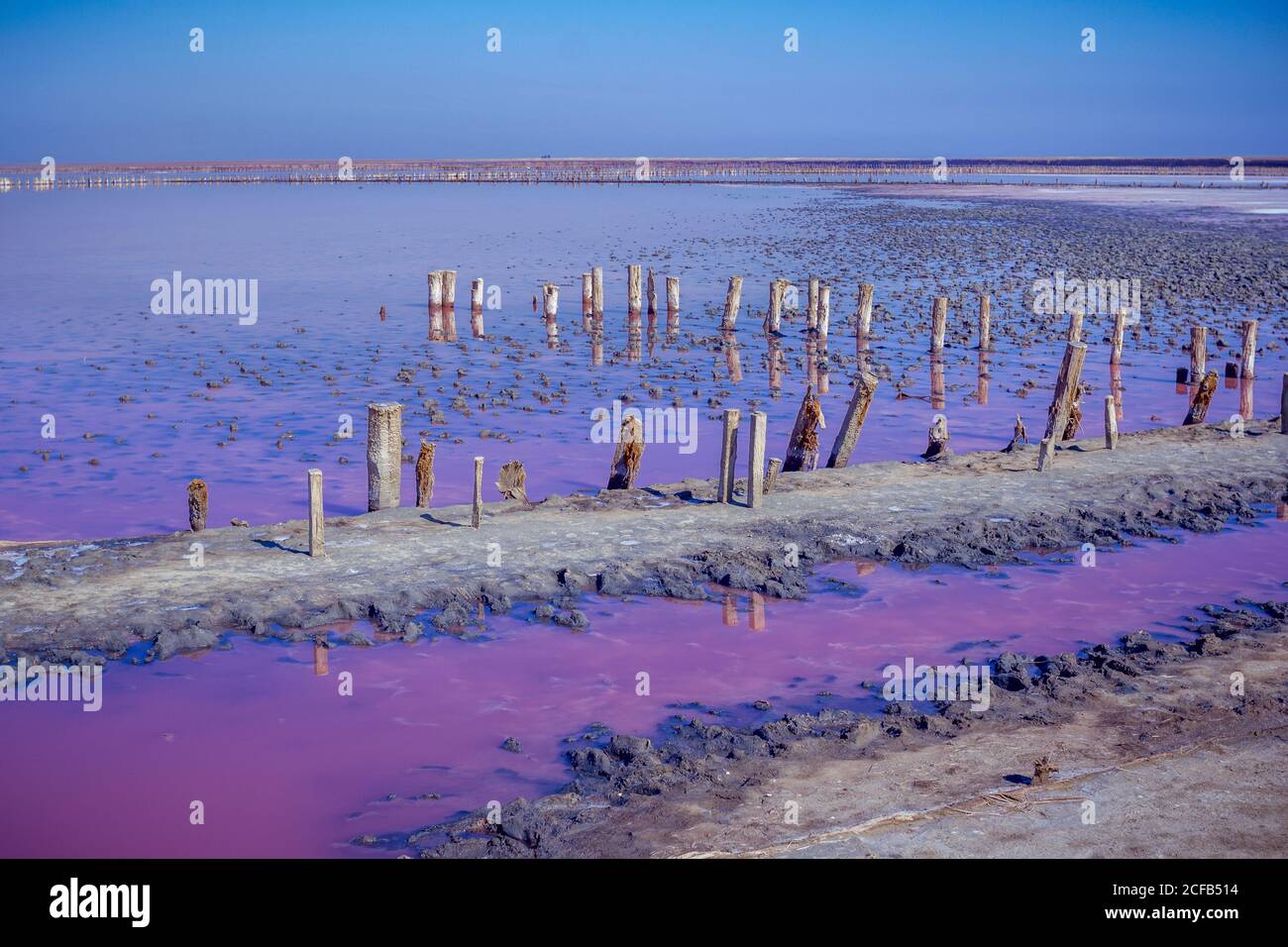 Sale, salamoia e fango di rosa Sivash Lago salato vicino Azov Mare, colorato da micro alghe Dunaliellasalina, arricchendo l'acqua del lago da beta-carotene Foto Stock