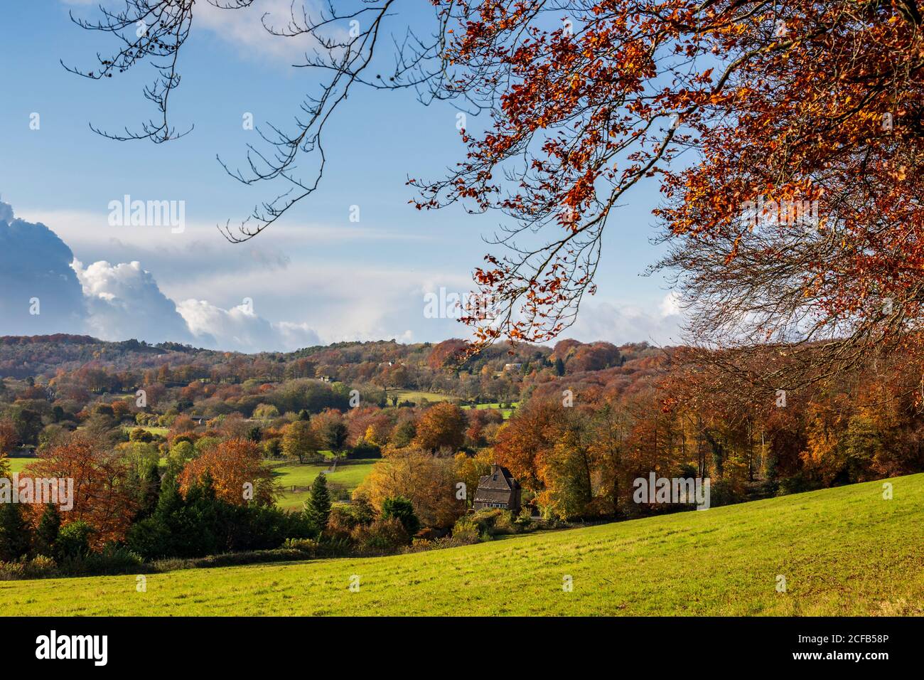 Una vista autunnale della campagna del Cotswold da Buckholt wood, Cotswolds, Inghilterra Foto Stock