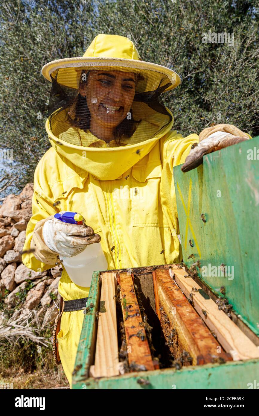 Felice apicoltore femmina in giallo protettivo indossare con dispenser mentre spruzzando l'alveare con le api in apiary Foto Stock