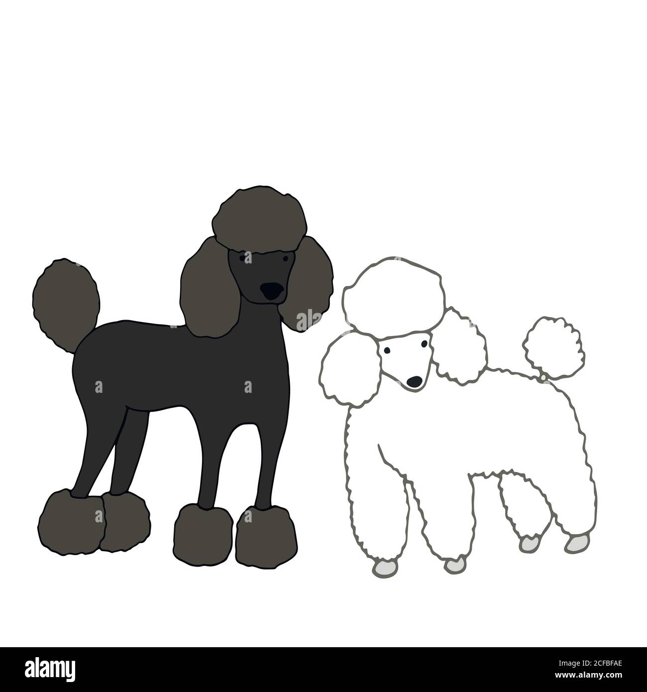 Due cani carini, belli, uno nero, secondo bianco, isolato su sfondo bianco, disegno a mano vettoriale, stile cartoon, illustrazione animali domestici fanny poodle. Illustrazione Vettoriale