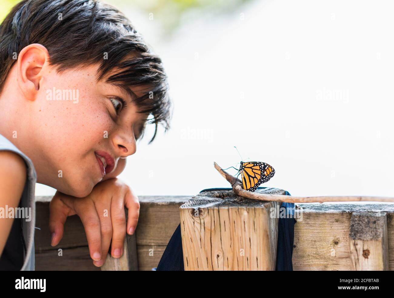 Ragazzo giovane che guarda una farfalla monarca che poggia su una ringhiera del ponte. Foto Stock
