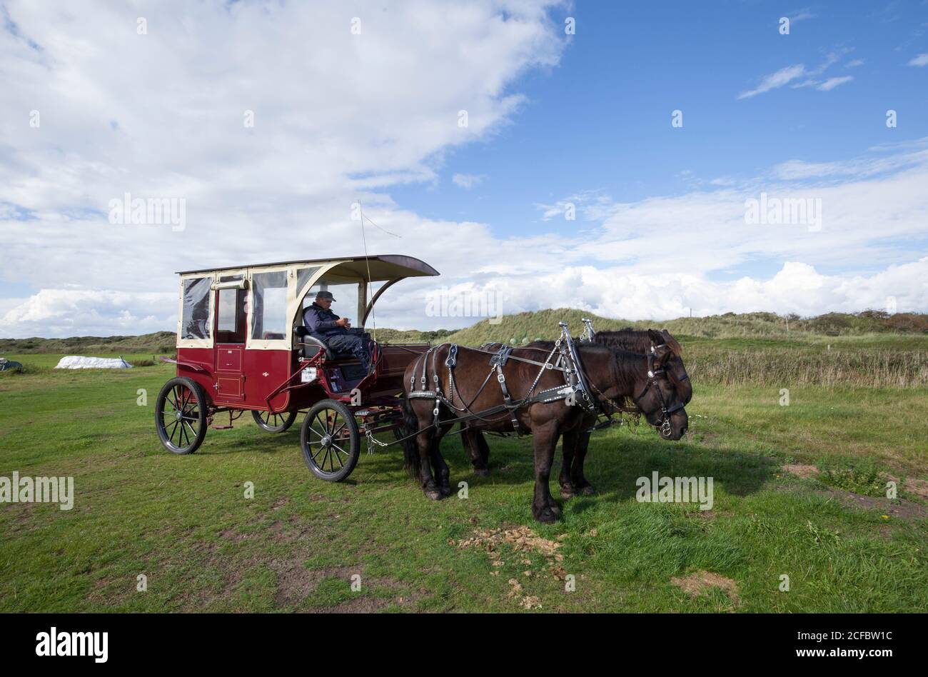 Trasporto a cavallo, Juist, Isole Frisone Orientali Foto Stock