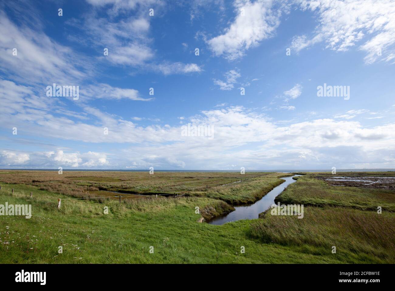 Billpolder, Salzwiesen, Juist, Isole Frisone Orientali Foto Stock