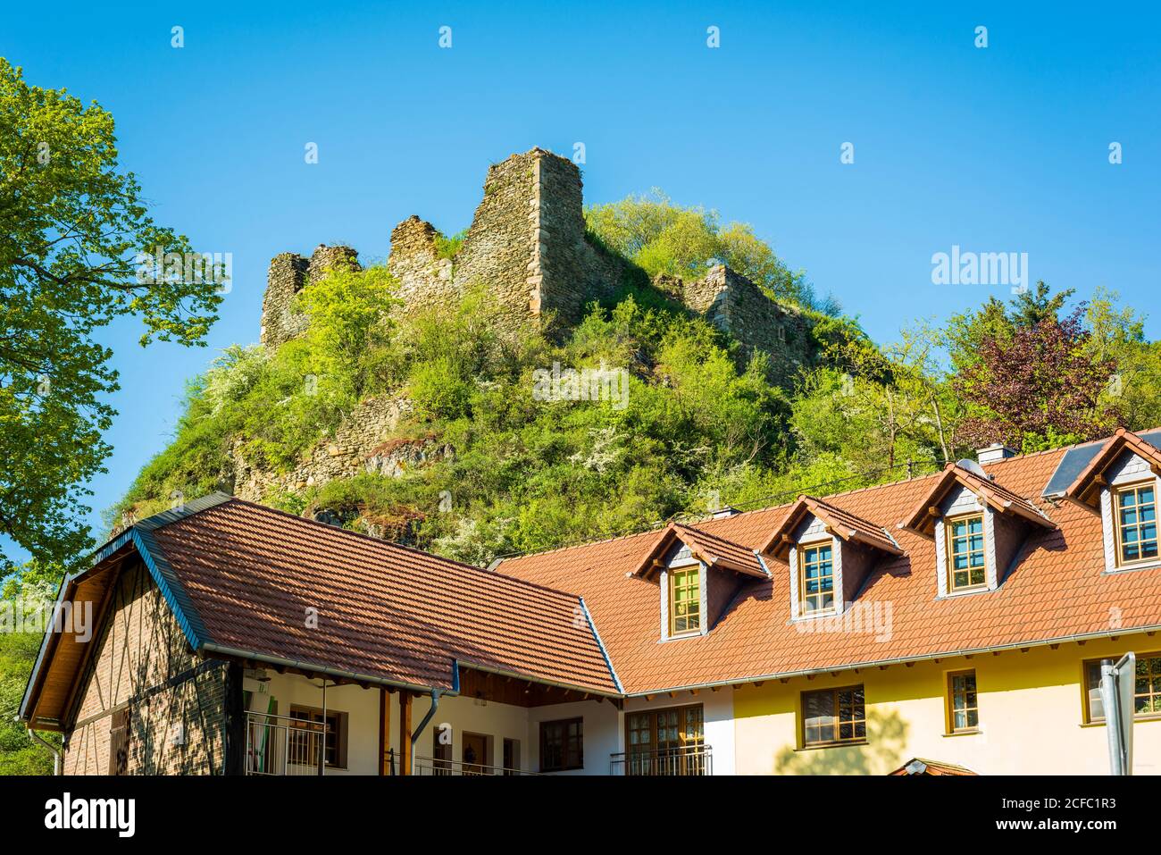 Rovina di Rosenburg ad Argenschwang, nel Soonwald (Hunsrück), nel Gräfenbachtal, Foto Stock