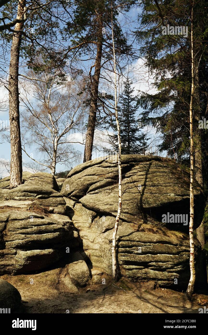 Vecchie costruzioni in pietra intorno ai pini in foresta su blu Cielo di fondo nel sud della Polonia Foto Stock