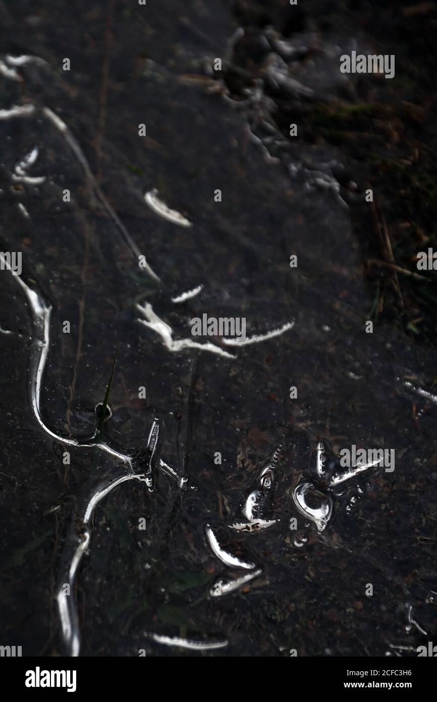 Frammento di ghiaccio sottile su fiume scuro congelato Foto Stock