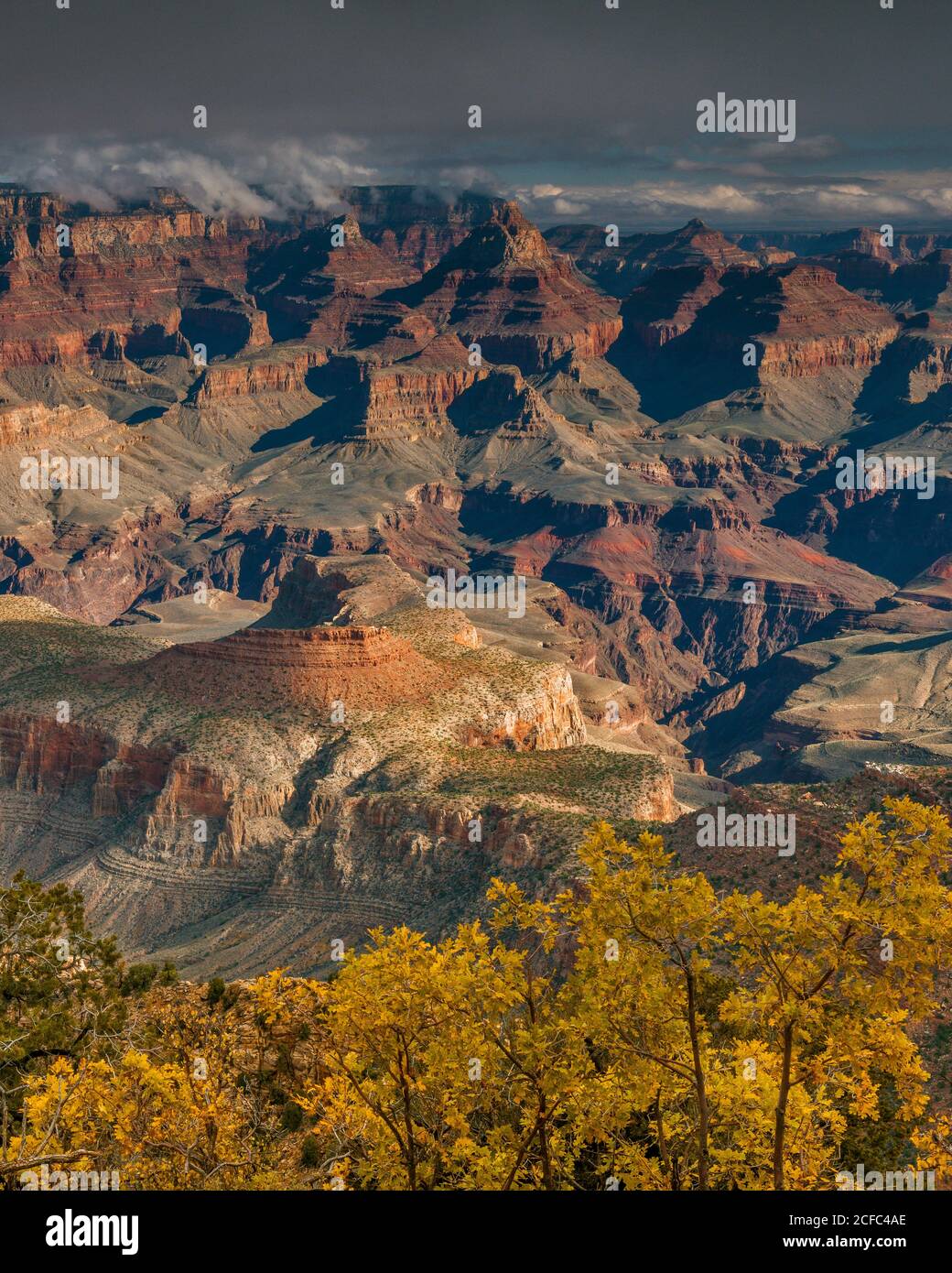 South Rim, a Ferro di Cavallo Mesa, il Parco Nazionale del Grand Canyon, Arizona Foto Stock