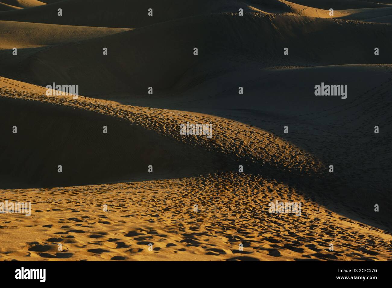 Dune sabbiose con tracce di luce solare Foto Stock
