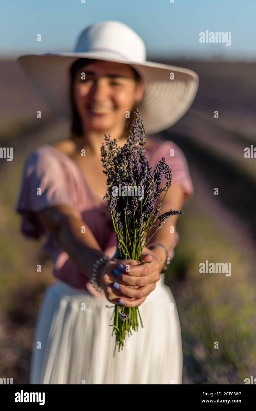 Fuoco morbido della donna felice in piedi nel campo con mazzo di fiori viola nelle mani outstreted il giorno di estate Foto Stock
