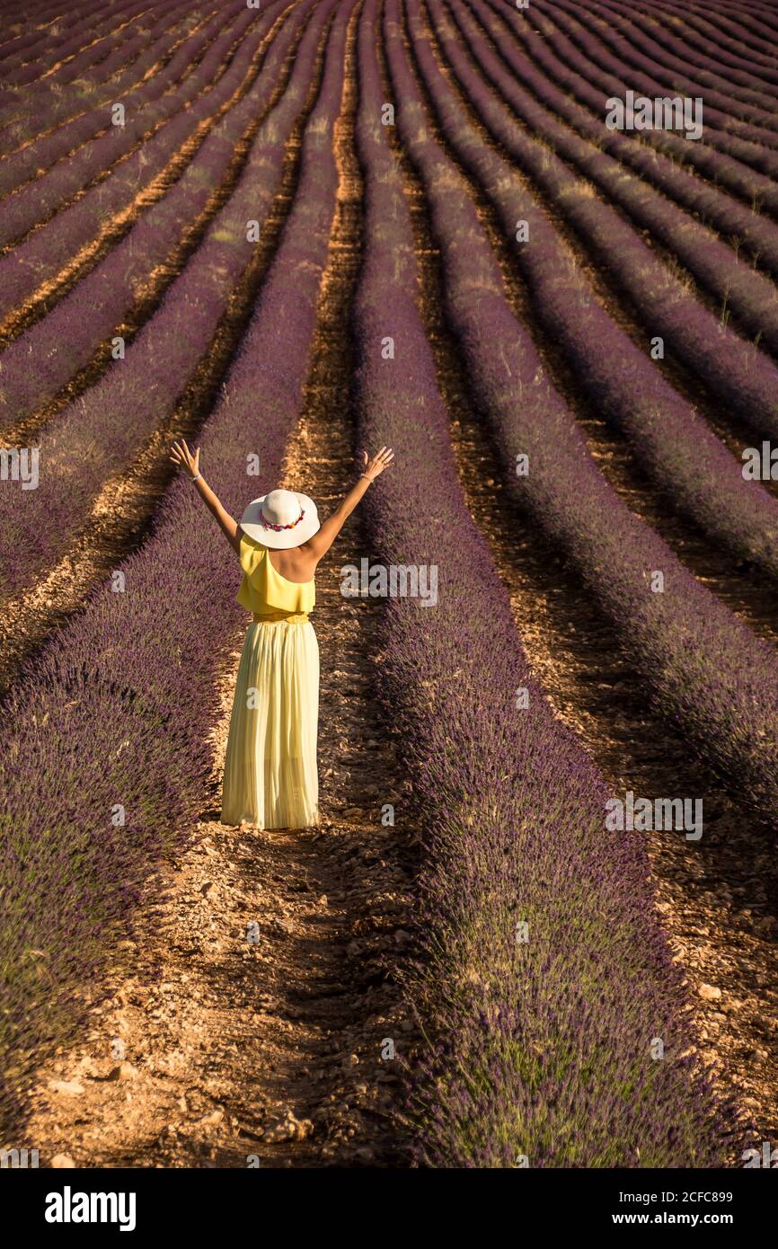 Donna con braccia distese in piedi nel campo di lavanda Foto Stock