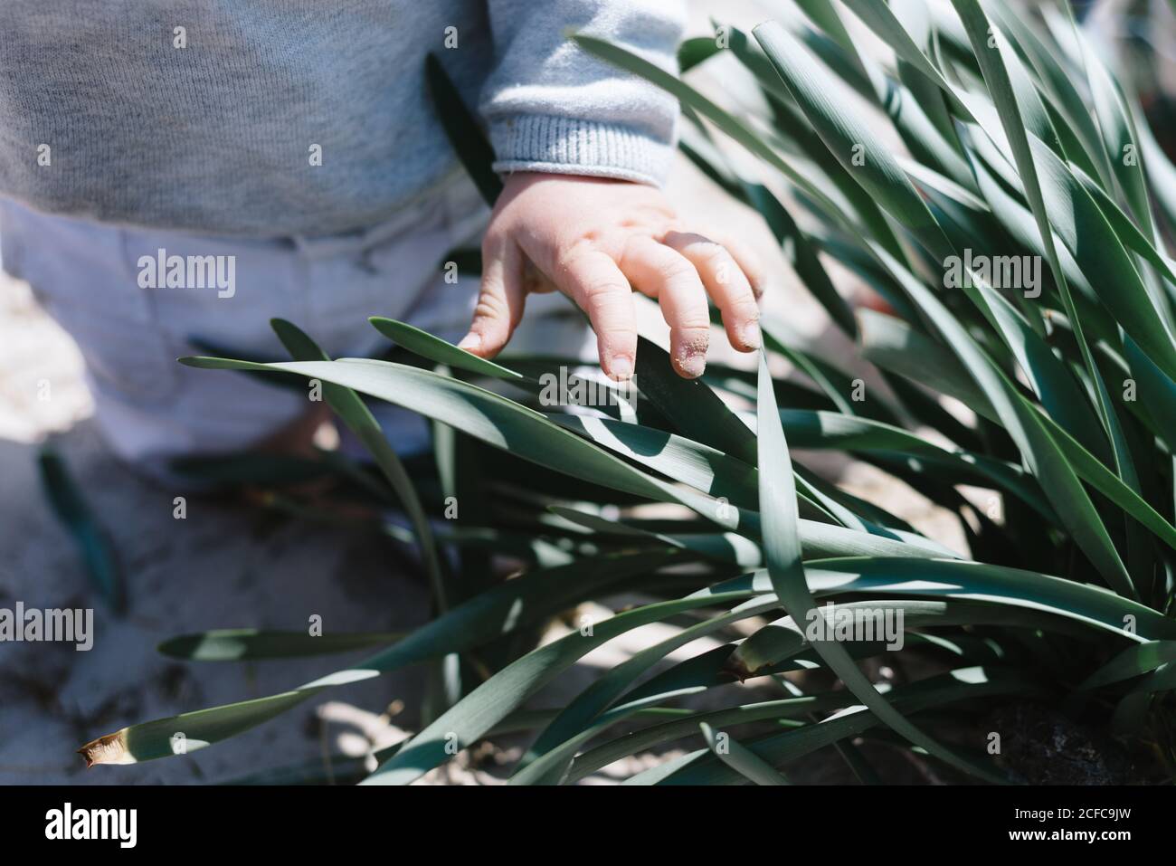 Bambino attivo esplorando intorno e toccando il verde con poco cute dita Foto Stock