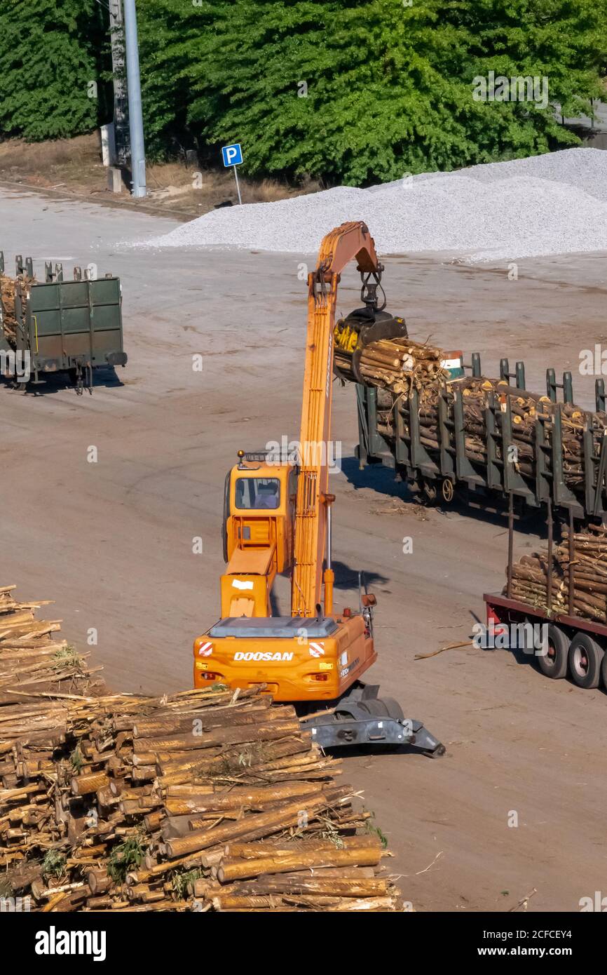 Trasporto di tronchi dell'industria del legno e della carta con sollevatore e camion. Foto Stock