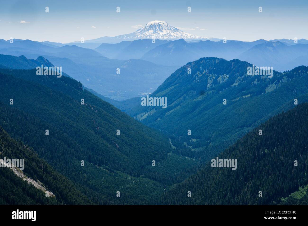 Mt. Adams in lontananza Foto Stock