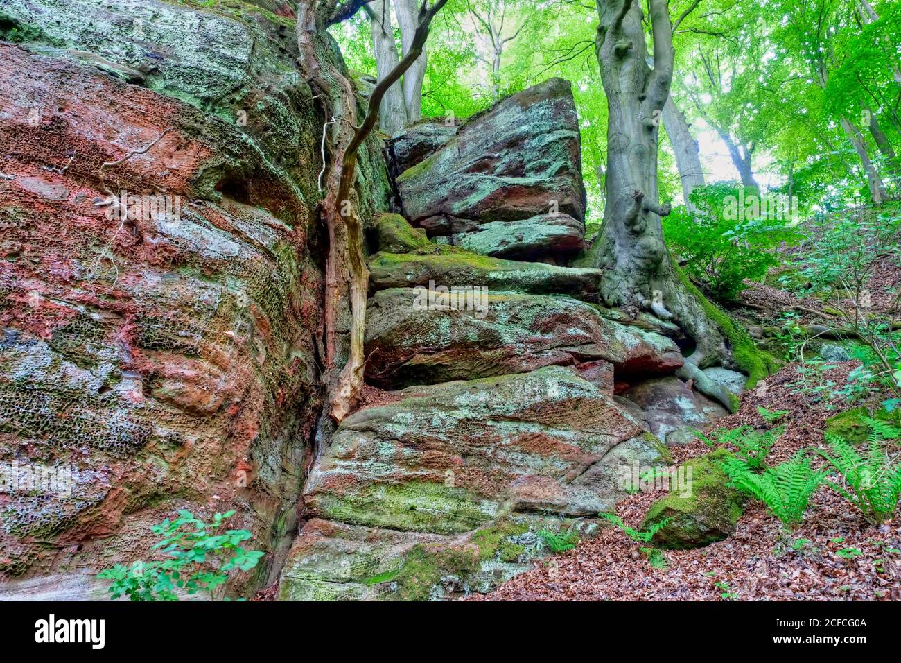 Formazione di arenaria, loop da sogno Saar-Hunsrück, Kasteler Felsenpfad, Kastel-Stadt, Saartal, Renania-Palatinato, Foto Stock