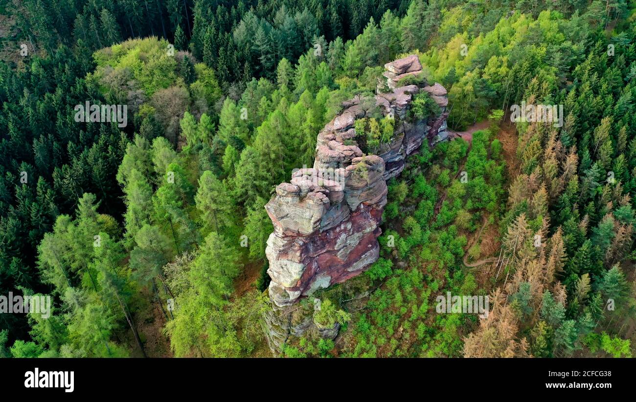 Altfels, loop da sogno Saar-Hunsrück, Kasteler Felsenpfad, Kastel-Stadt, Saartal, Renania-Palatinato, Foto Stock