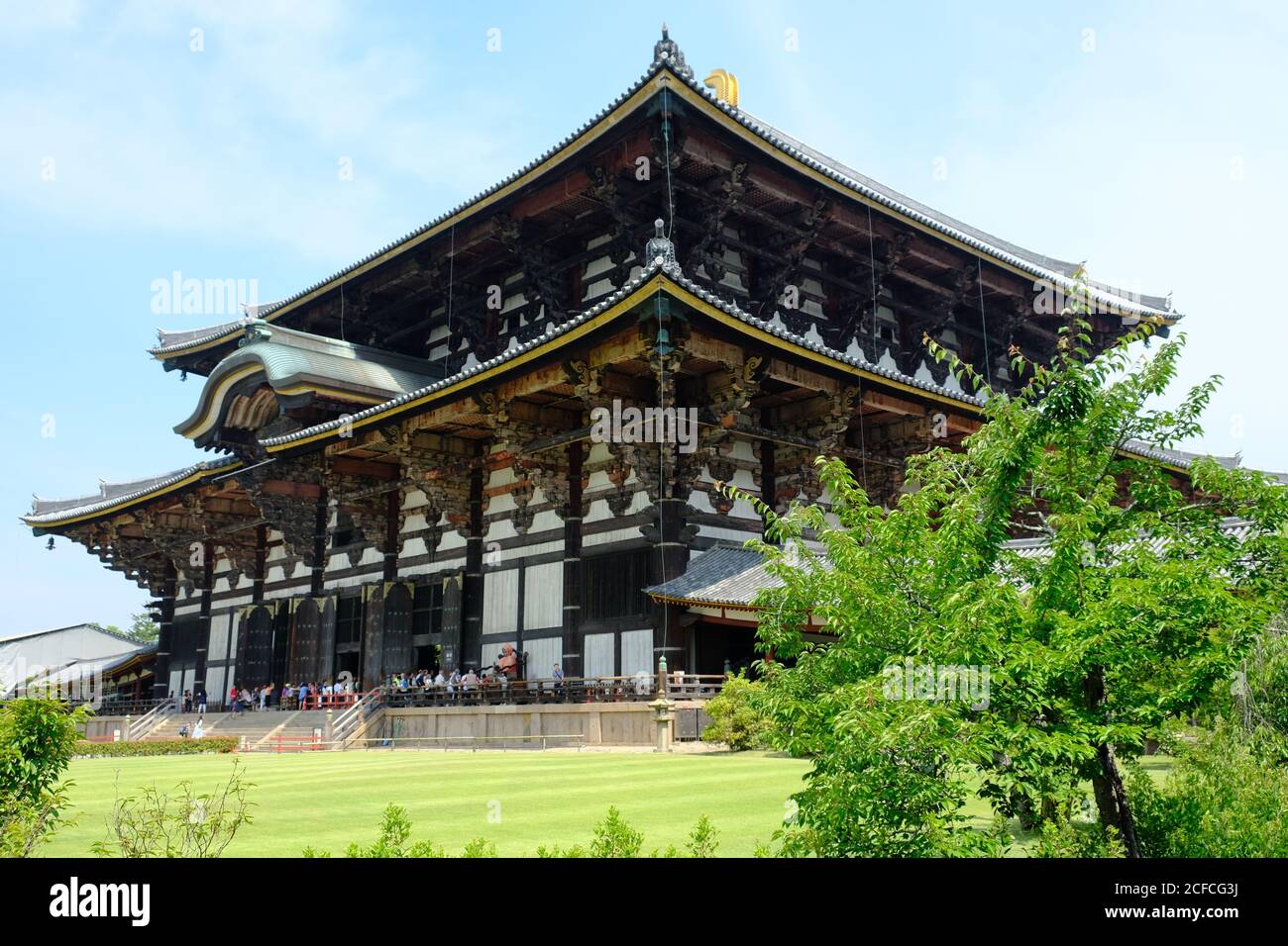 Nara Giappone - Museo Todaiji vista panoramica Foto Stock