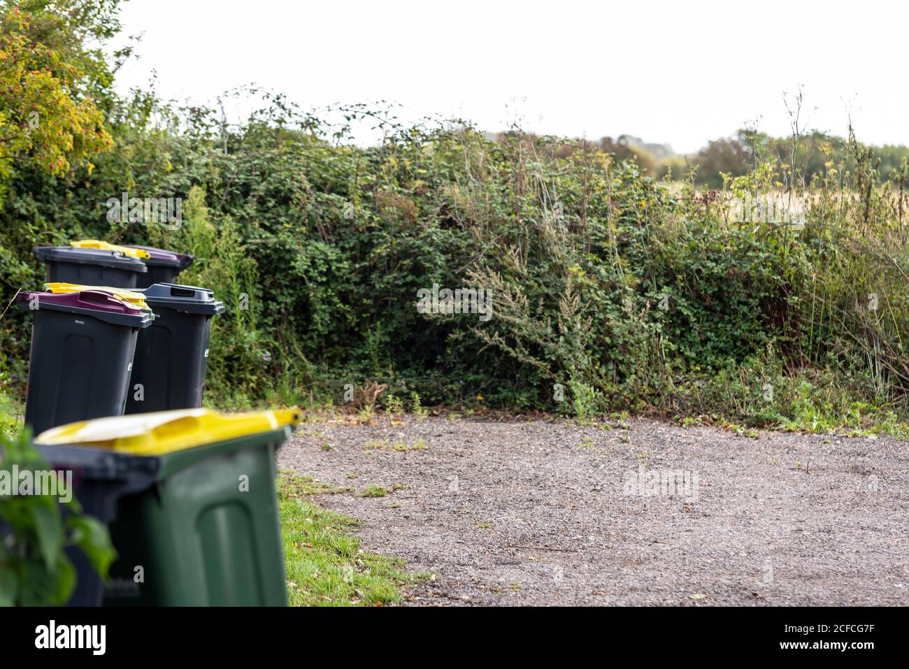 Bidoni dei rifiuti in località rurale. I bidoni delle carriole in campagna sulla raccolta del consiglio si arrotondano nel paese. Great Wakering, vicino a Southend on Sea, Essex Foto Stock