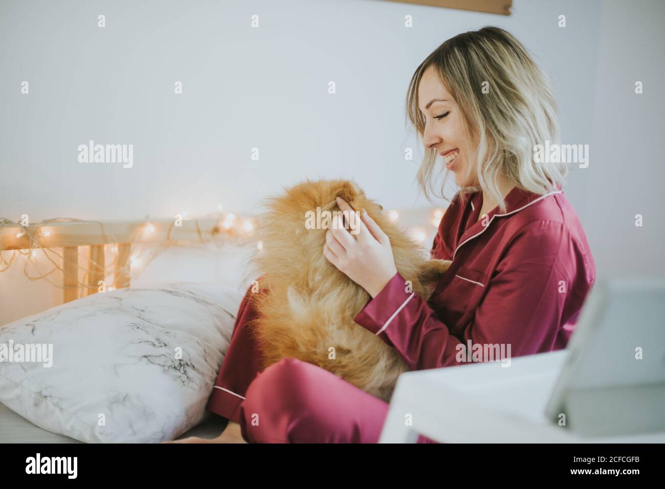 Giovane felice sorridente attraente Donna in pigiama seduto a letto con un piccolo cane soffice Foto Stock