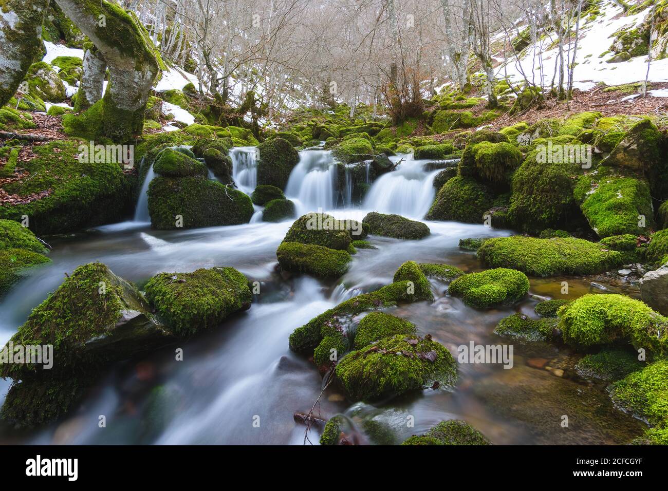 Stretto fiume di montagna che corre tra rocce in muschio verde nella foresta invernale a Leon, Spagna Foto Stock