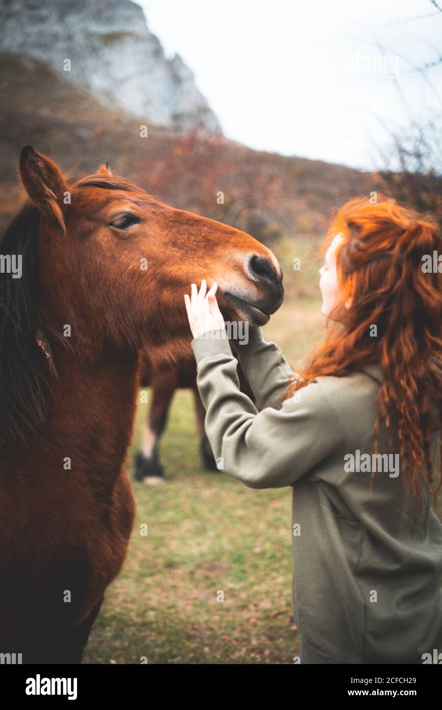 Felpa con cavallo online