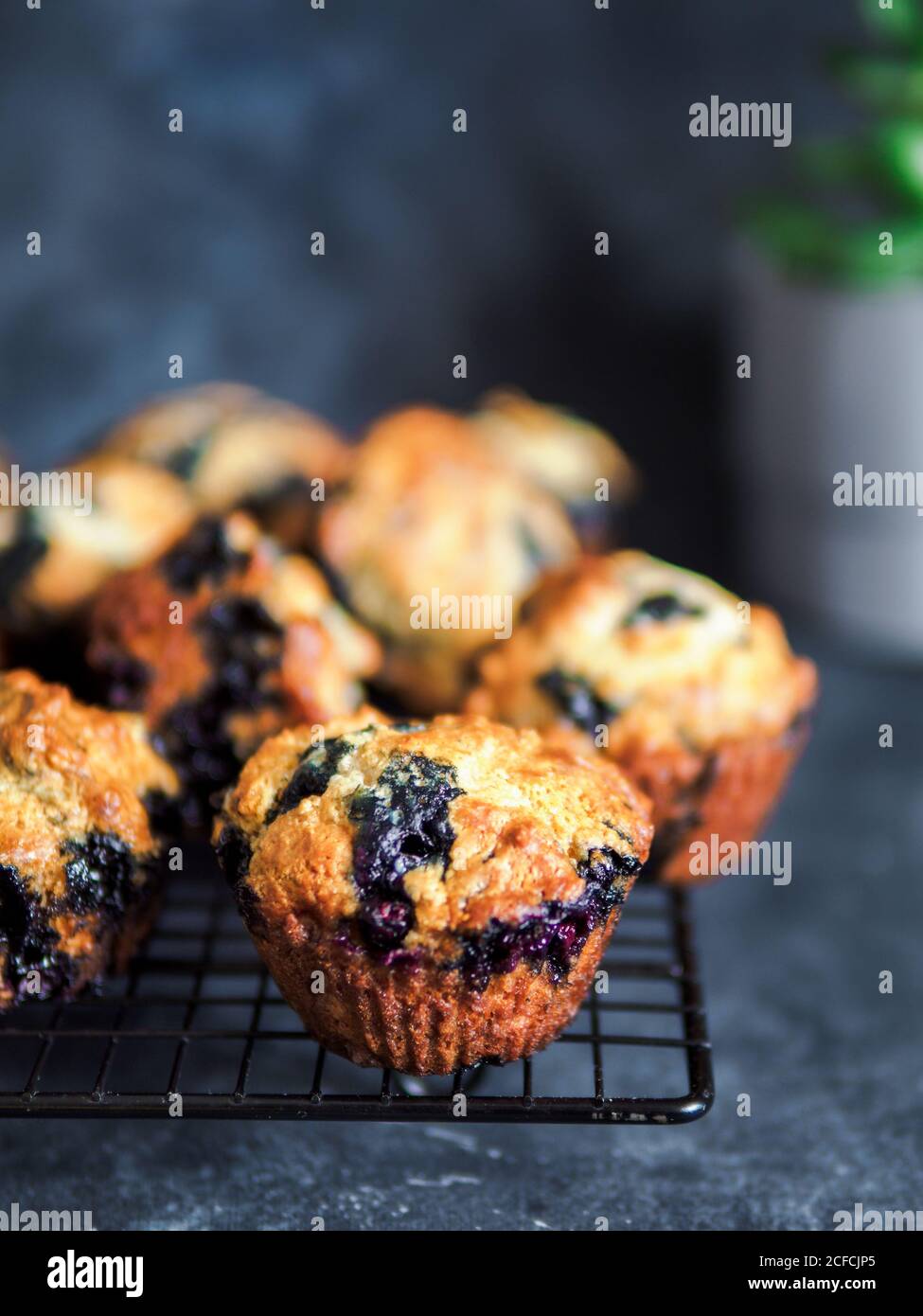Muffin al mirtillo vegano fatti in casa su una griglia di raffreddamento su sfondo scuro. Verticale. Spazio di copia per testo o disegno. Foto Stock