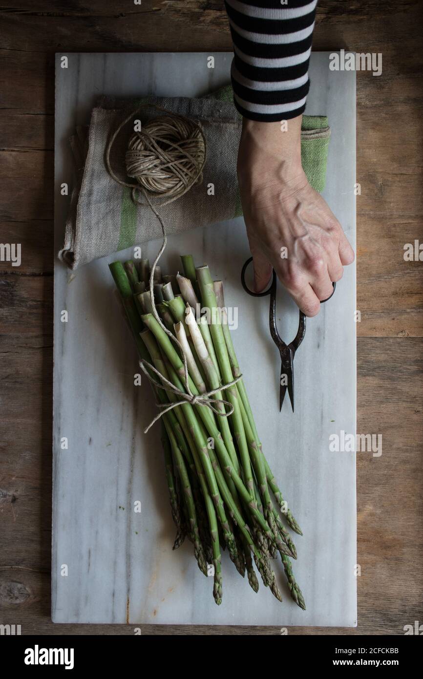 Vista dall'alto delle mani che tengono le forbici in tavola di marmo con mucchio di asparagi legato con corda a spago su legno tabella Foto Stock