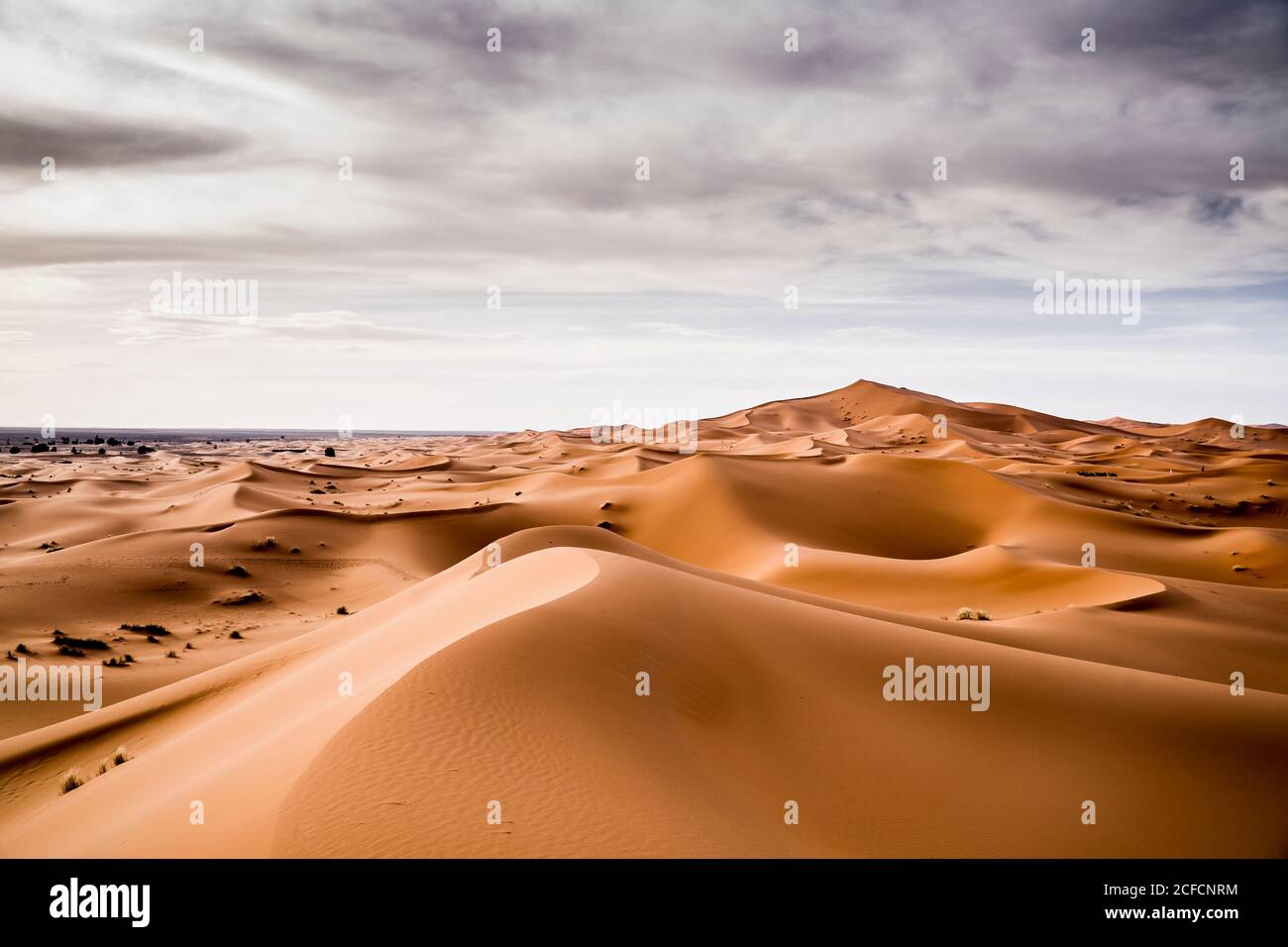 Paesaggio di deserto con colline di sabbia a Marrakech, Marocco Foto Stock