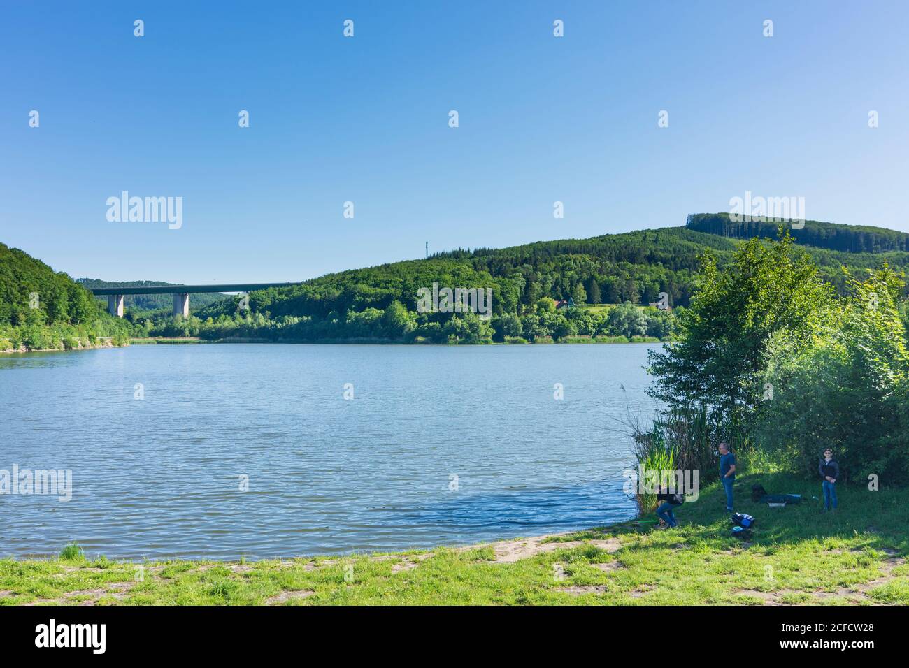 Tullnerbach, lago artificiale Wienerwaldsee a Wienerwald, Vienna Woods, Niederösterreich / bassa Austria, Austria Foto Stock