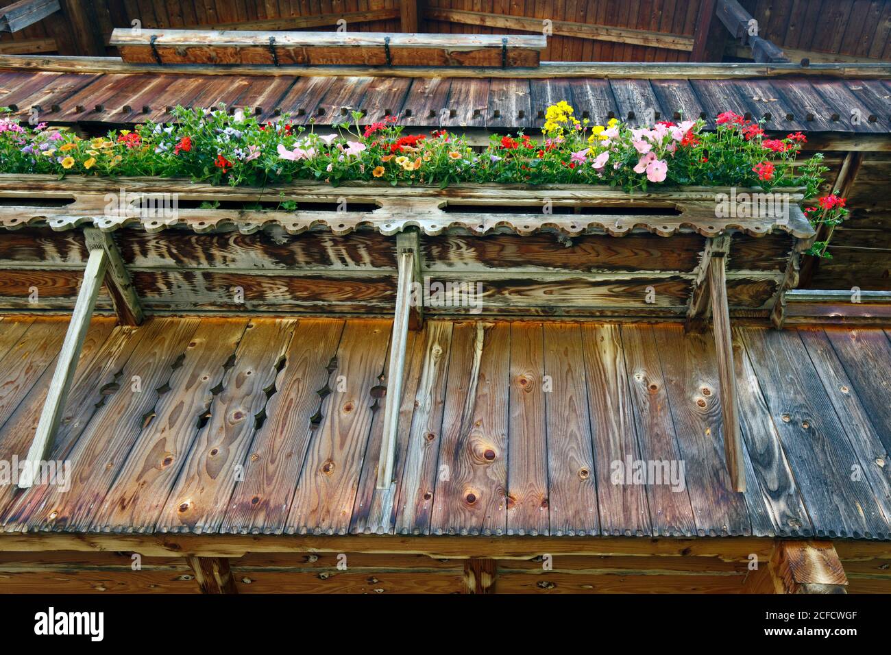 Disposizione dei fiori di fronte alle tavole di legno bruciate al sole di a. Fattoria di montagna a Zimmererberg Foto Stock