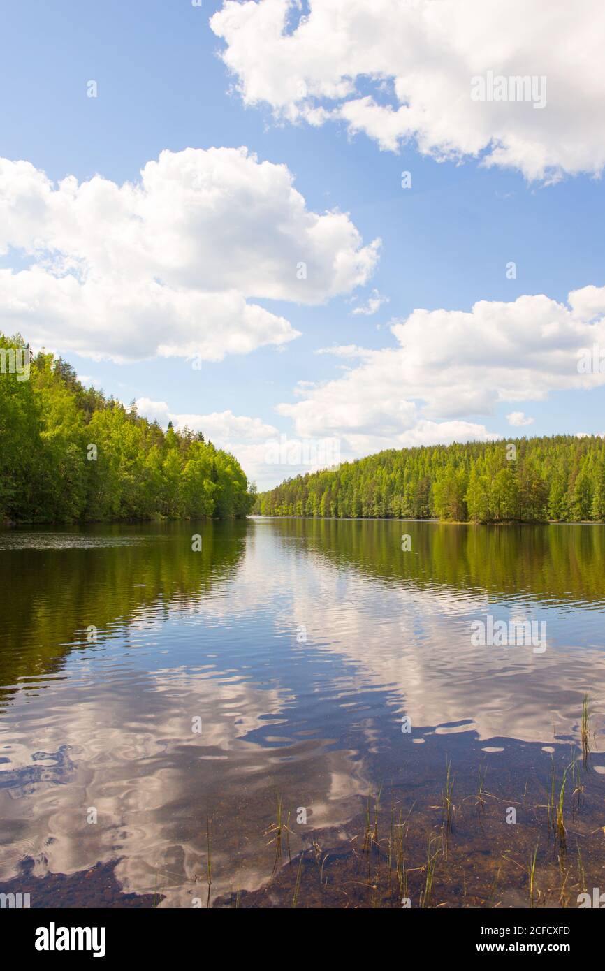 Paesaggio del lago, riflessi delle nuvole bianche, scenario estivo, Finlandia Foto Stock