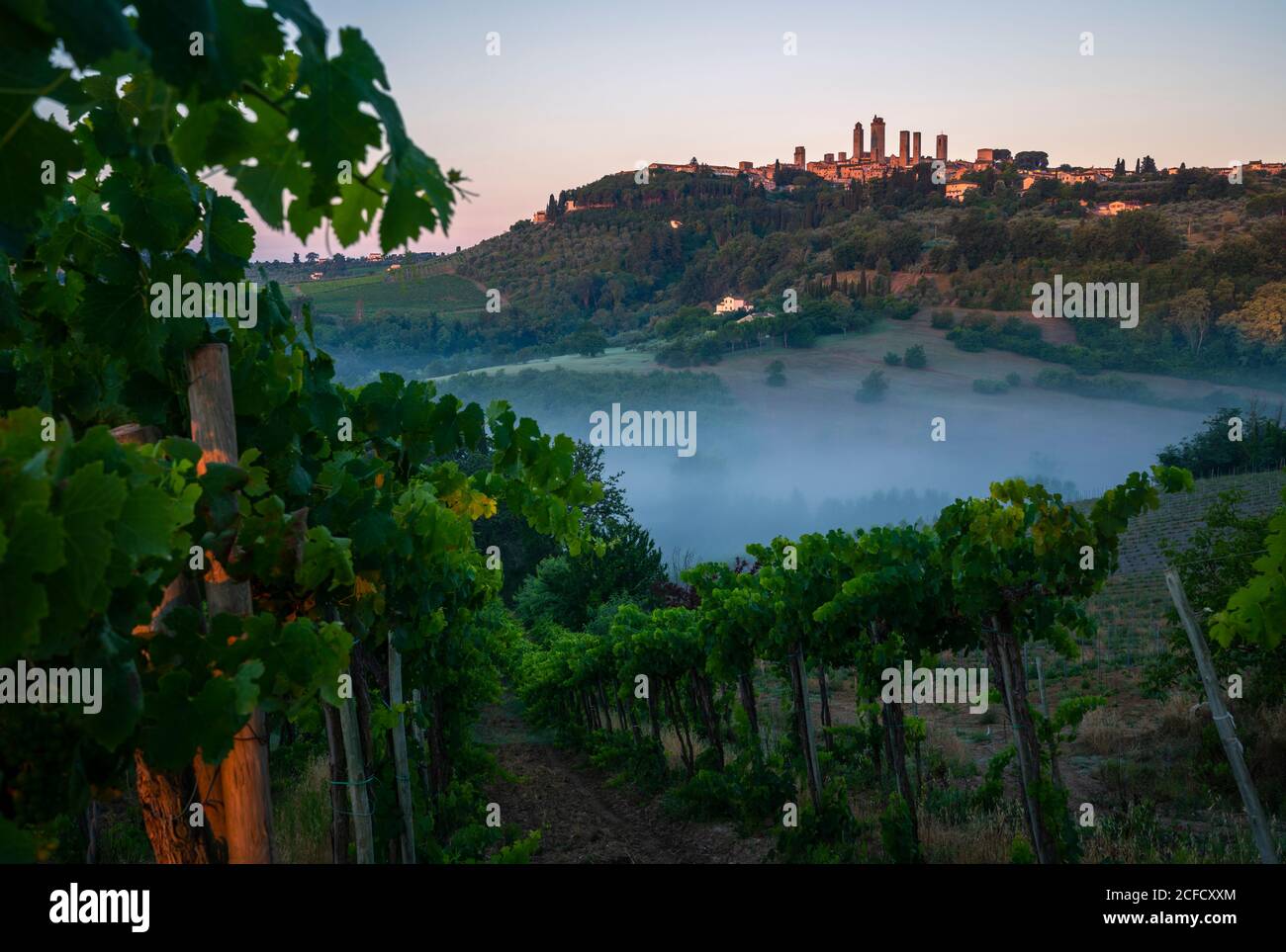 Europa, Italia, Toscana, Provincia di Siena, San Gimignano, Foto Stock