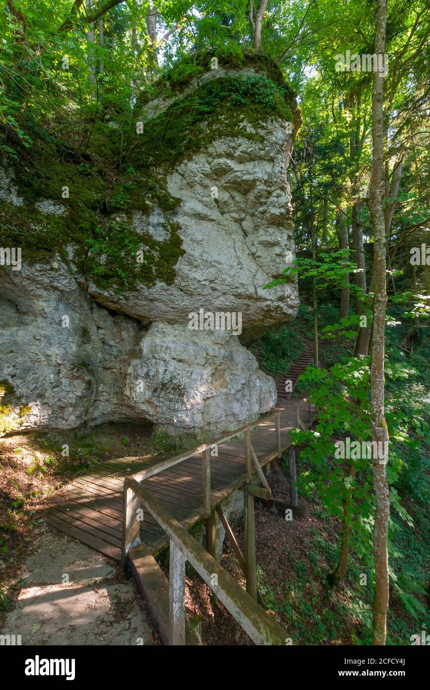 Germania, Baden-Wuerttemberg, Inzigkofen, rocce nel parco roccioso Inzigkofen, nel Parco Naturale dell'Alto Danubio Foto Stock