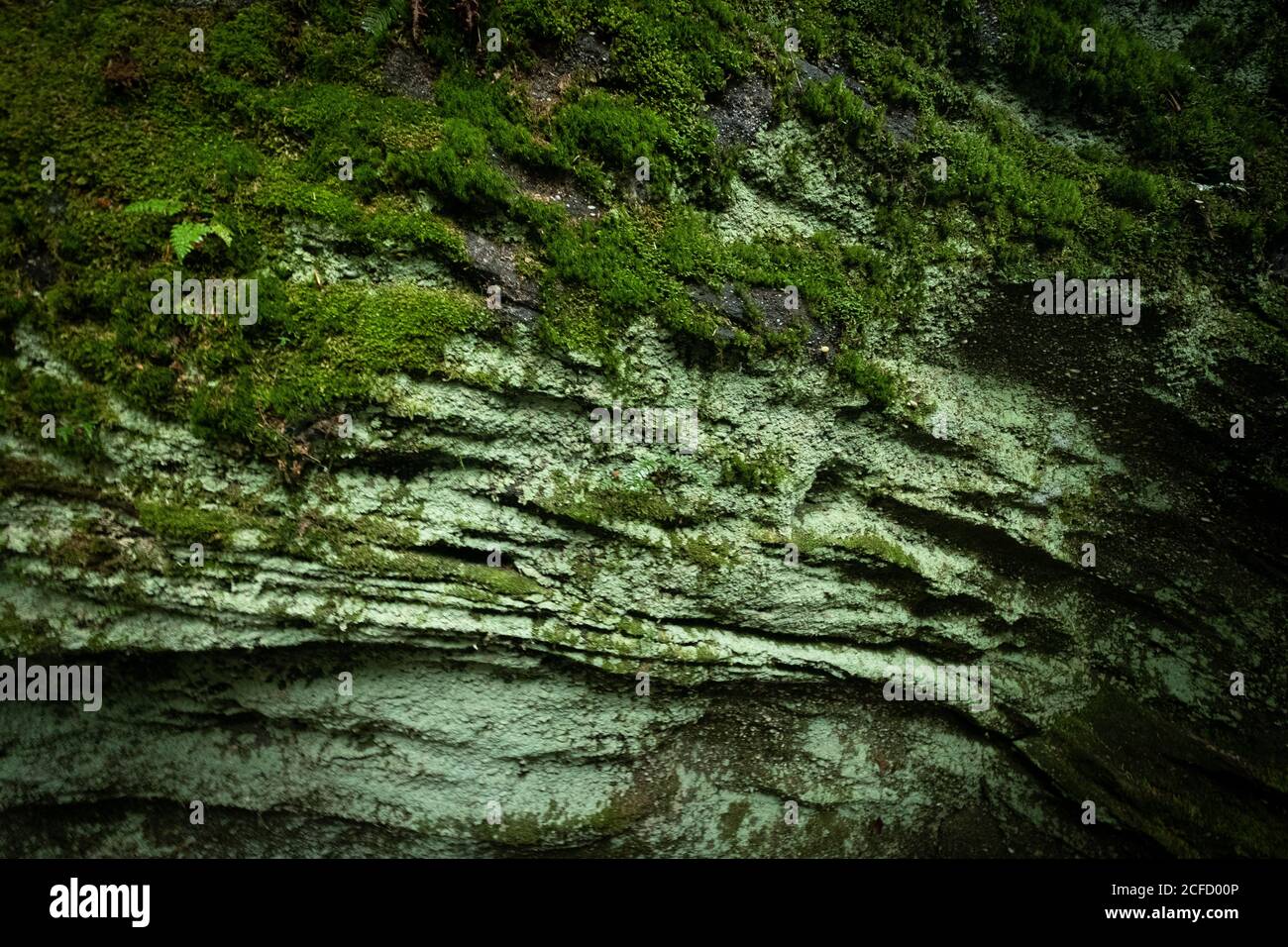 Panama Rocks Scenic Park, Contea di Chautauqua, New York, USA - un'antica foresta pietrificata di conglomerato di quarzo Foto Stock