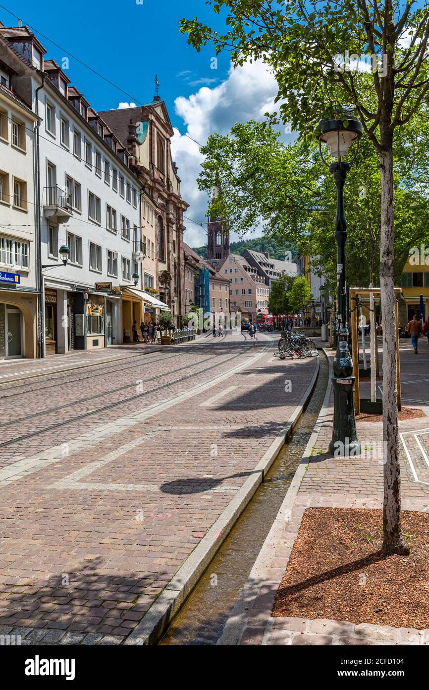 Bächle, piccole ruscelli tipici nel centro, vista sulla strada, Friburgo, Friburgo in Breisgau, Baden-Württemberg, Germania, Europa Foto Stock