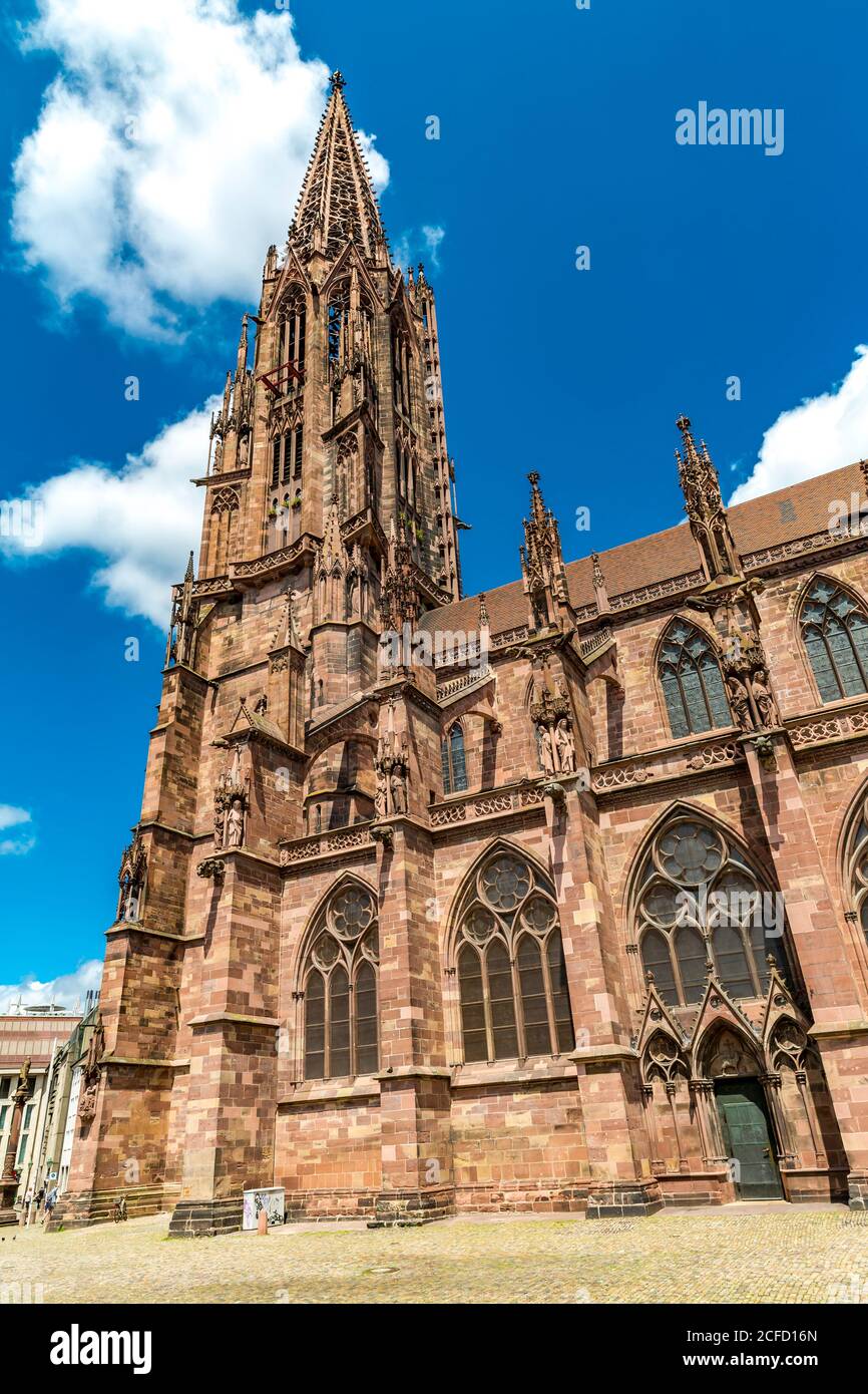 Freiburg Minster, Münsterplatz, Friburgo, Freiburg im Breisgau, Germania, Europa Foto Stock