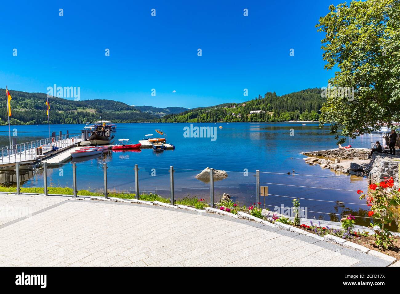 Barche sul lago Titisee, noleggio barche, Titisee-Neustadt, Foresta Nera, Baden-Württemberg, Germania, Europa Foto Stock