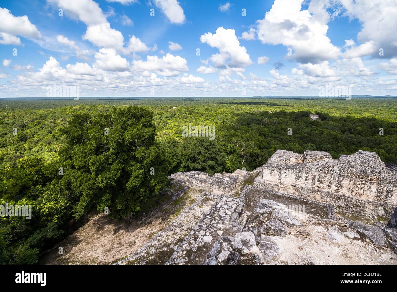 Vista sulla giungla dai terreni del tempio di Calakmul, la Penisola di Yucatan, Messico Foto Stock