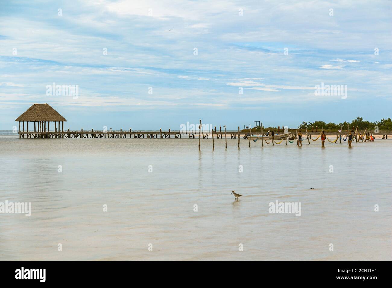 Molo sulla spiaggia di Isla Holbox, Quintana Roo, Penisola di Yucatan, Messico Foto Stock