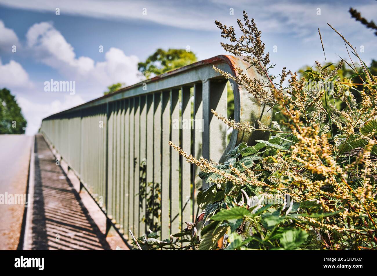Immagine simbolica, ringhiere metalliche di un ponte danno la direzione, l'incertezza, le strutture diritte e organiche Foto Stock